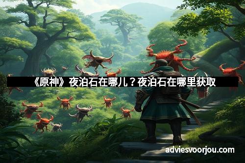 《原神》夜泊石在哪儿?夜泊石在哪里获取